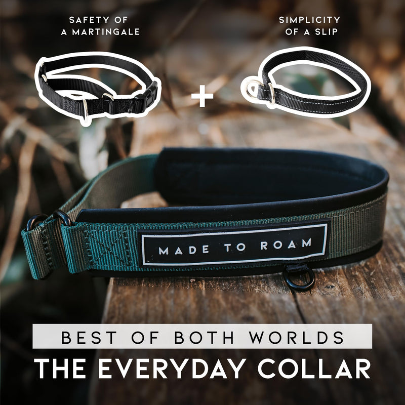 MADE TO ROAM Premium Everyday Dog Collar - Martingale Style No Pull Vegan Leather Collar, Heavy Duty and Lightweight for Small, Medium, Large Dogs (Oregon Haze, Size 1) Oregon Haze