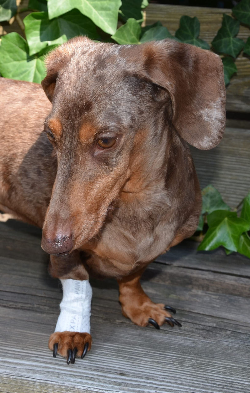 Protective Sleeve Tubular Cover - Bandages - for Dogs Cats and Other Pets First Aid Wound Care Comfortable Non-Adhesive Breathable & Water Resistant 12 Strips (yields 24-36 Covers)-(X-Large)