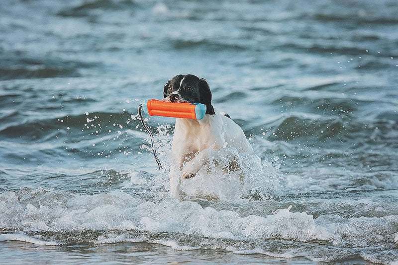 Chuckit Amphibious Bumper Fetch and Float Dog Toy, Medium (Assorted Colors) 1 - PawsPlanet Australia