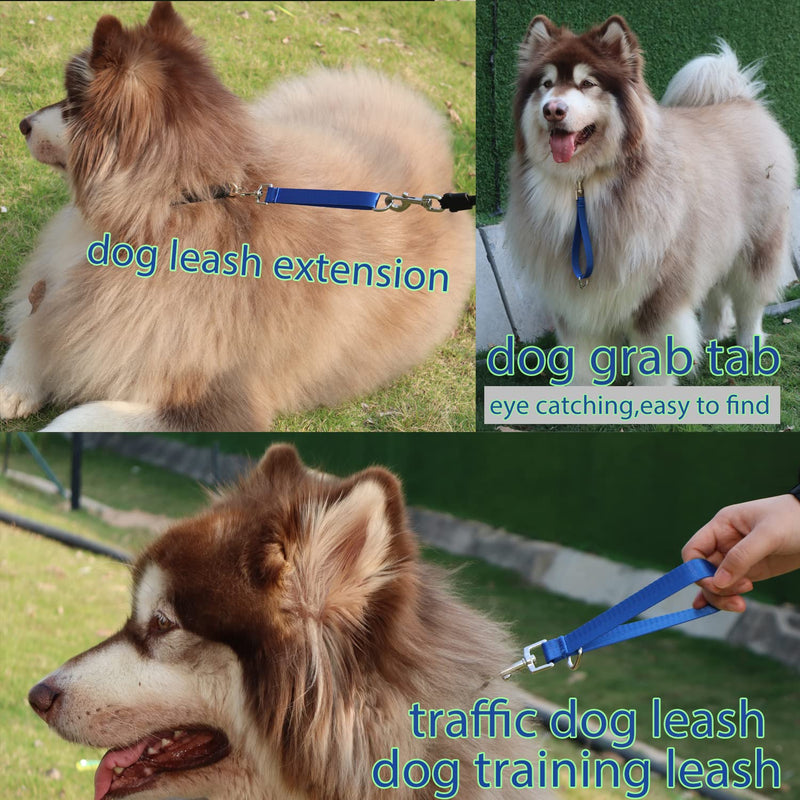Traffic Dog Leash Dogs Training Leash Pet Traffic Grab Handle Training Tab Pets Leash Short Dog Leashes Dogs Training Lead Leashes (Green & Blue) green & blue - PawsPlanet Australia