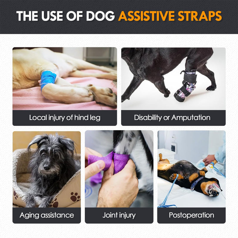 Adjustable Dog Lifting Harness for Back Legs | Support Sling & Hind Leg Brace for Injured, Disabled, Elderly Dogs | Small/Medium/Large Sizes with Lift Handle & Padded Straps (M) M