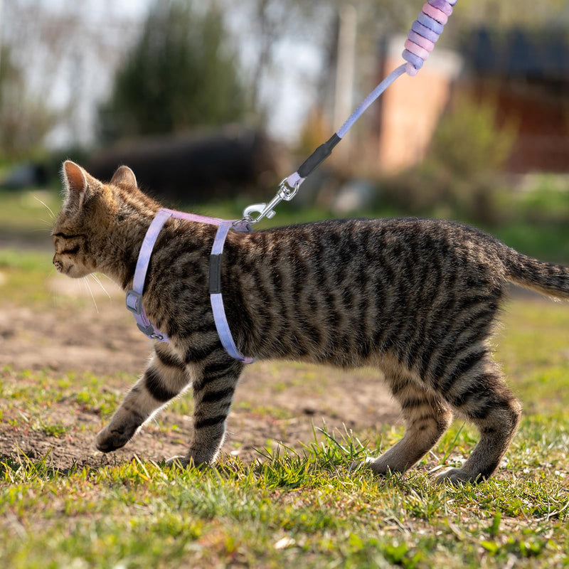 Cat Harness and Leash Set, Escape Proof Comfortable Soft Kitten Harness for Safe Walking and Travel, Adjustable Easy to Wear for Small Medium Cats(Gradient Purple) - PawsPlanet Australia