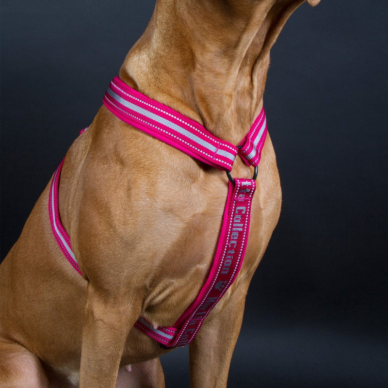 Hurtta Padded Dog Y-Harness 2, Raven, 22 in 22" - PawsPlanet Australia