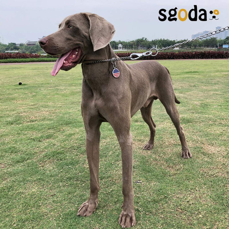 SGODA Chain Dog Training Choke Collar, SUS304 Total Length: 16 in, 2.5mm - PawsPlanet Australia