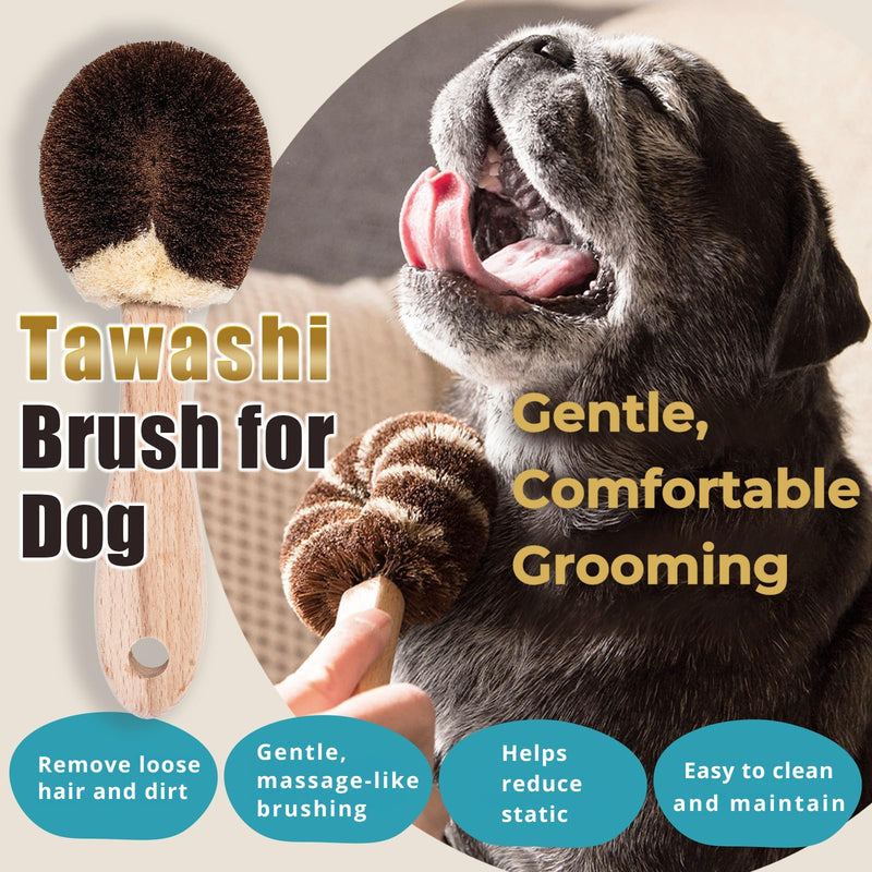 Natural Tawashi Dog Grooming & Massage Brush – Made in Japan, Gentle Palm Fiber Brush for Dogs, Relaxing Skin Stimulation, Low Static, Wooden Handle, Daily Dog Care Tool (Large Dog) Large dog