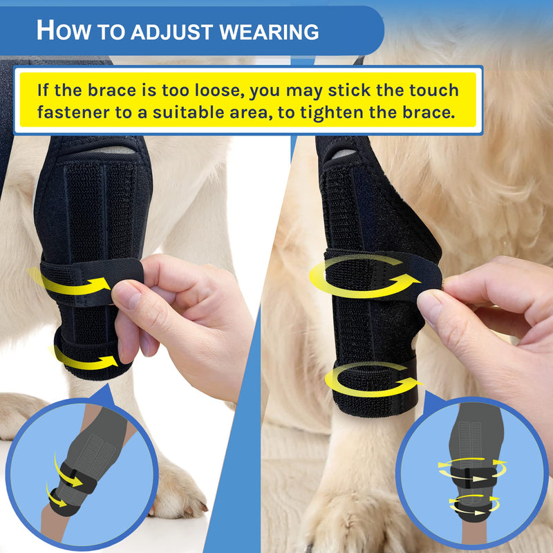 Dog Knee Brace for Dog ACL Brace Hind Leg or Rear Leg, CCL Brace Hind Leg (Size: S) - PawsPlanet Australia