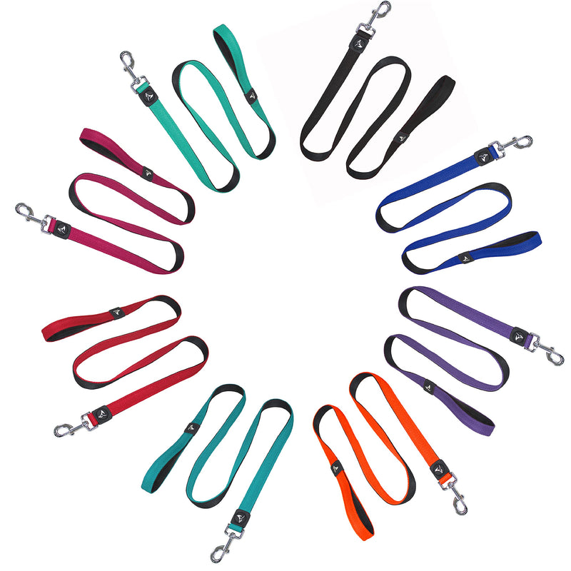 Dog Leash (Width - 1”, Length - 5 FT) | Lightweight Breathable & Tangle Free Dog Leads with Soft Silicone Grip & Lock Snap | Ideal for Walking, Training & Running | Large - Blue Large: 1" x 5 FT
