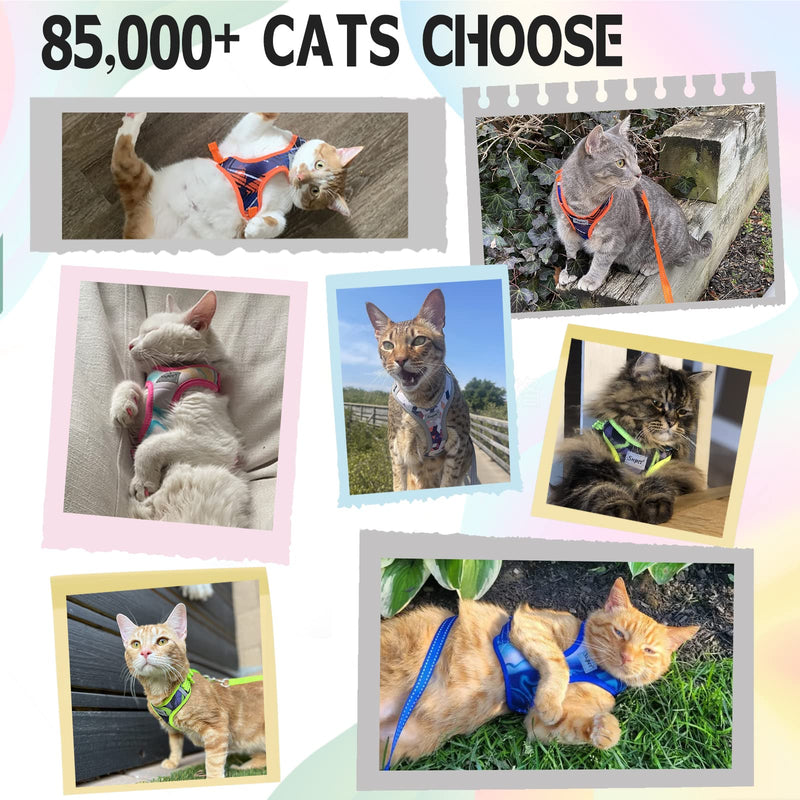 Supet Cat Harness and Leash Set Stylish Escape Proof Cat Vest Harness Adjustable Breathable Pet Harness with Reflective Trim Step-in Cat Leash and Harness for Cats Puppies M（Chest:11.0-18.3'' Blue M（Chest:11.0-18.3'') - PawsPlanet Australia