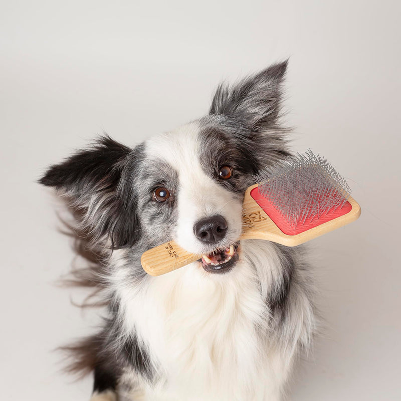 WIDU - Brush for Dogs and Cats, Ideal for Medium and Large Pets with Long Hair, Professional Carder in Ash Wood, Handmade in Italy - 21.5 x 9.4 cm, with 24 mm Long Teeth and 45° Inclination Large brush with long teeth