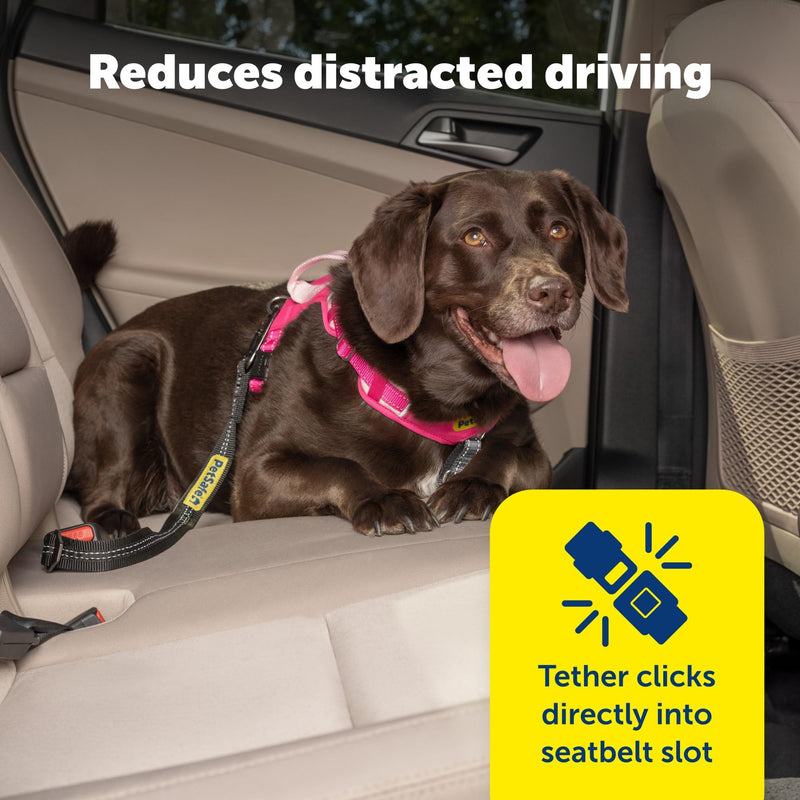 PetSafe Safety Seatbelt Tether – Adjustable Dog Seat Belt for Car – Works with Any Harness – Carabiner Clip, Black – 1 Seat Belt Tether - PawsPlanet Australia