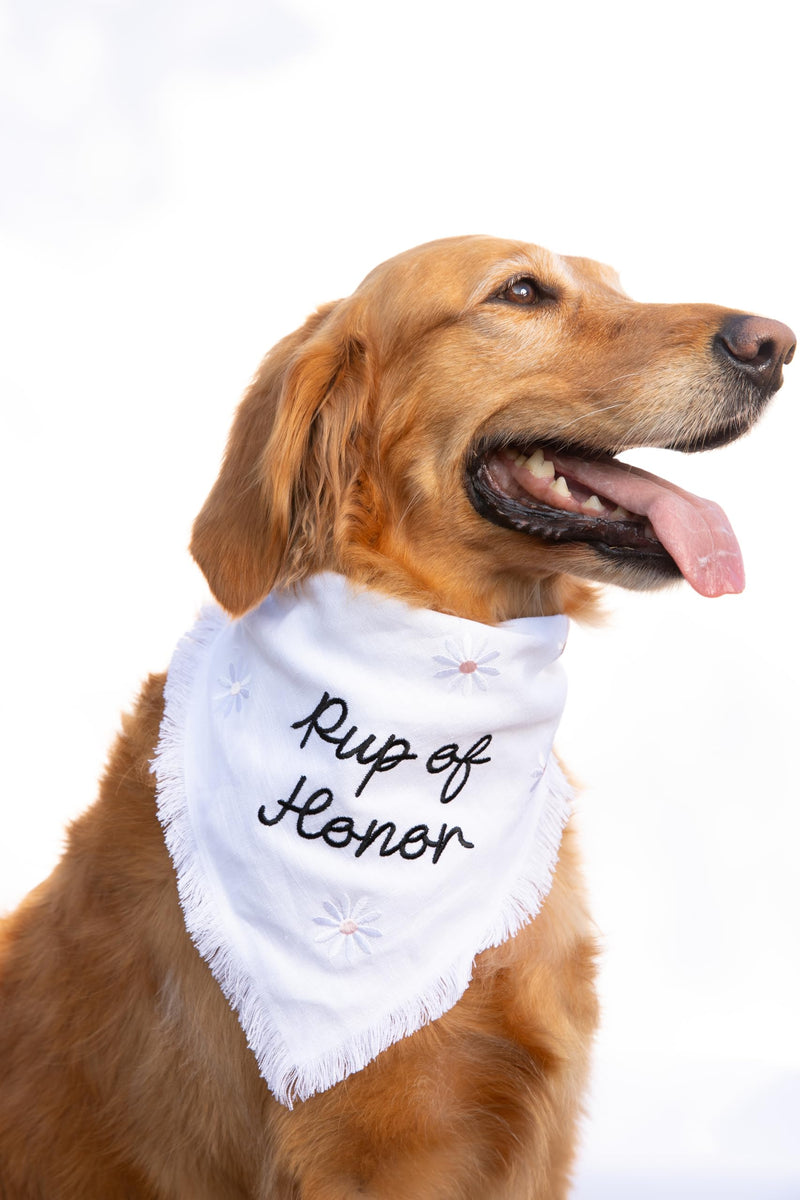 Two Tails Pup of Honor Wedding Dog Bandana, Tie-on Pet Scarf for Boy or Girl Dogs and Puppies, Wedding Dog Accessories, Engagement Gift, or Photo Prop, Breathable Linen and Viscose Fabric, Size Large - PawsPlanet Australia