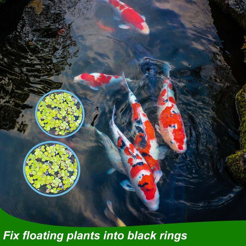 5pcs Aquarium Floating Plant Rings, Foam Round Fish Feeding Rings 5 Size Floating Plant Corral Fish Tank Food Ring Keep Floating Plants in Place (Blue) - PawsPlanet Australia