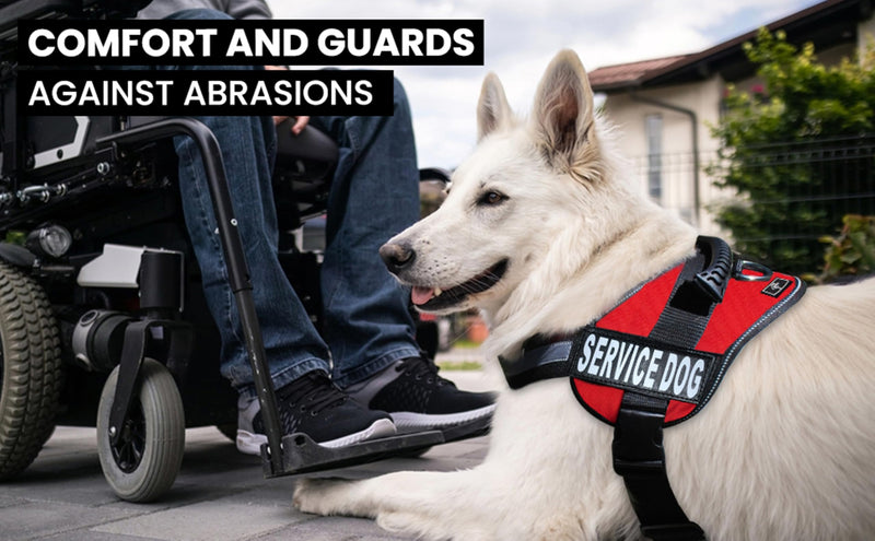 Doggie Stylz Service Dog Harness - Durable & Reflective, Adjustable for Dogs XXS to Large Sizes - Comfortable Working Dog Vest Girth 12-16" Black - PawsPlanet Australia