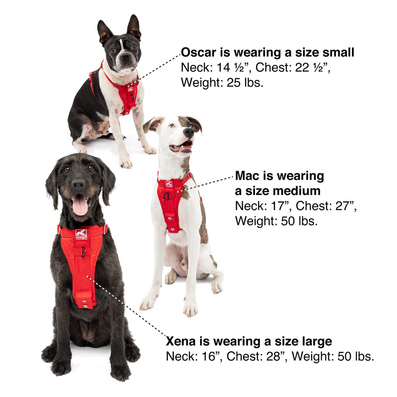 Kurgo Tru-Fit Enhanced Strength Dog Harness - Crash Tested Car Safety Harness for Dogs, No Pull Dog Harness, Includes Pet Safety Seat Belt (Black, Medium) Crash Tested Certified Buckles Medium (Pack of 1) Black - PawsPlanet Australia
