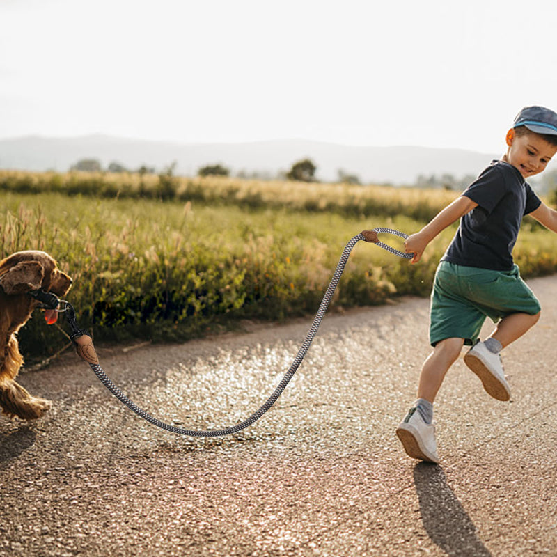Mile High Life Rope Leash with Genuine Leather Connection, 6 FT/5 FT/4 FT, Heavy Duty Leash for Medium & Large Dogs (Brown, 48 Inch) 48 Inch-1/2" Brown - PawsPlanet Australia