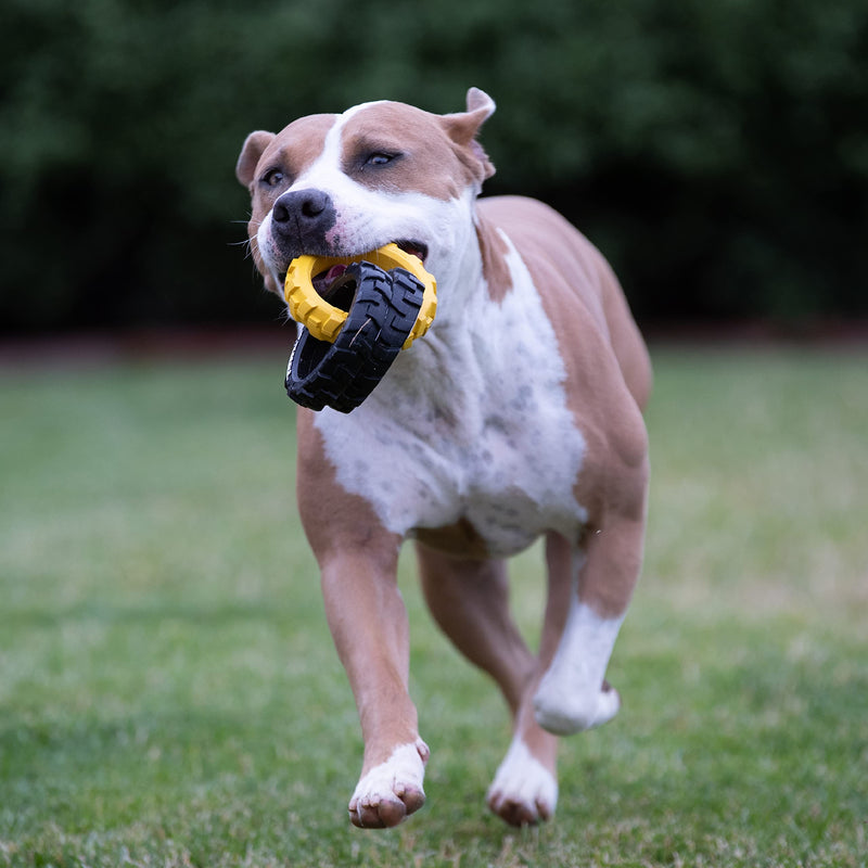 Tonka Rubber 3-Ring Tug Dog Toy, Lightweight, Durable and Water Resistant, 10.5 Inches, for Medium/Large Breeds, Single Unit, Yellow/Black 10.5 inch Rubber Flex Tread