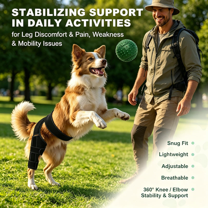 Dog Knee Braces for Back Leg, Adjustable Dog Acl Brace Hind Leg with Stabilizers, Canine Joint Support for Torn ACL, Luxating Patella, Arthritis and Post-Surgery Recovery, Universal (S) S