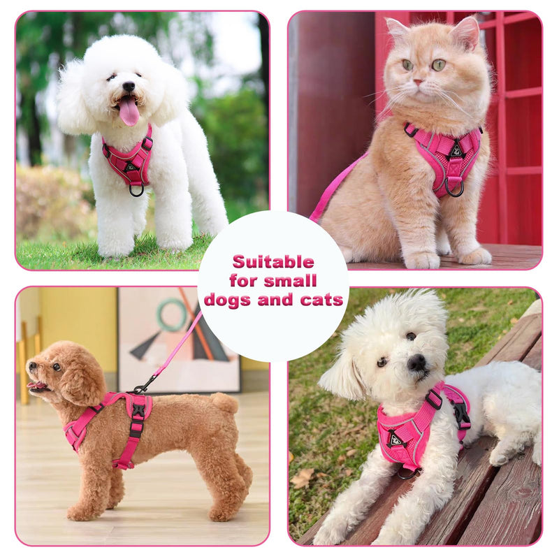 SOLMOONY Small Dog Harness,Soft Mesh Puppy Harness and Leash Set,No Escape Cat Harnesses for Training Walking,Reflective Adjustable Puppy Vest for Small Medium Dogs, Cats (Hot Pink, S) Hot Pink - PawsPlanet Australia