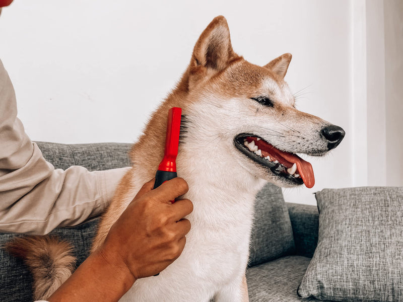 Tuff Pupper Deep Knot and Mat Remover Tool | Dematting Brush for Dogs, Cats, and Small Animals | Mat Splitting Grooming Comb for Long and Short Fur Pets - PawsPlanet Australia