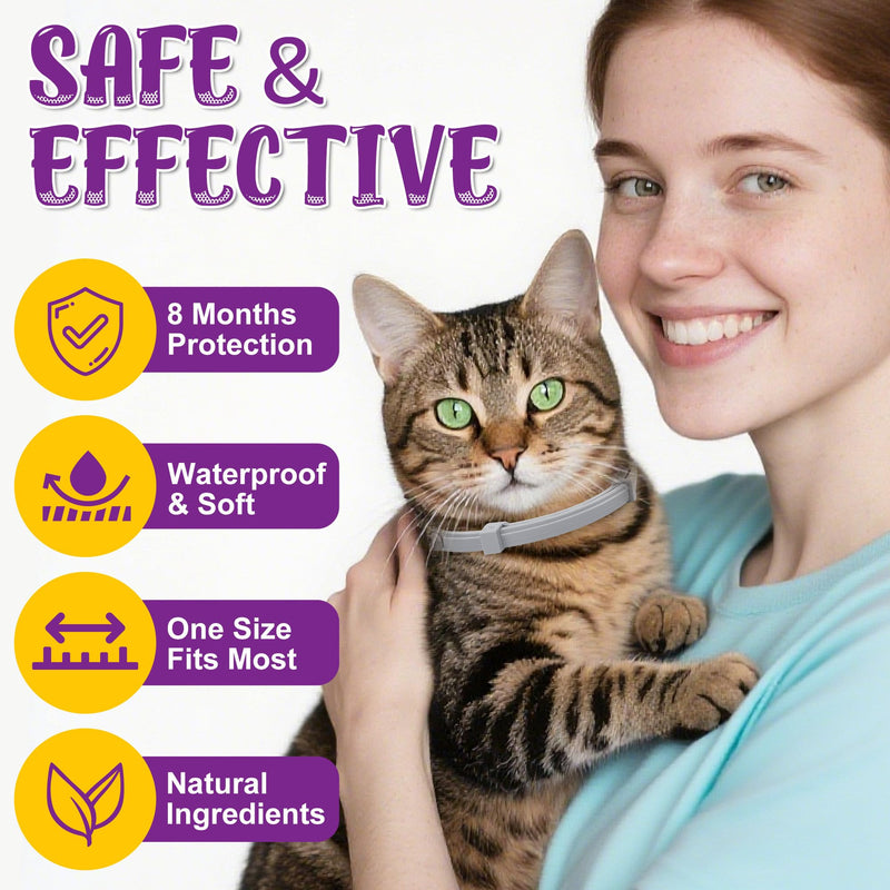 Flea & Tick Collar for Cats 4 Pack - 8 Months Long-Lasting Protection and Prevention, Cat Flea and Tick Collar, Adjustable - PawsPlanet Australia