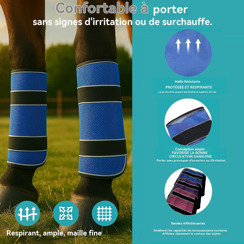 2-Pack Fly Boots for Horses (Horse Fly Leggings) | Breathable Mesh, No-Rub Loose-Fit with Reflective Strips, to Prevent Painful Fly Bites blue