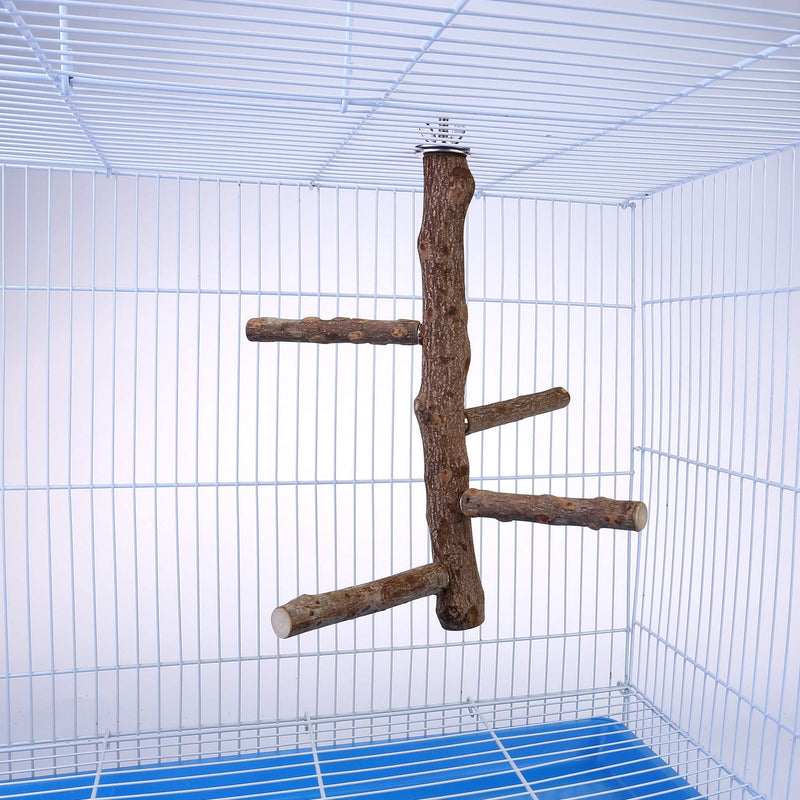 Bird Perch Stand Toy, Natural Wood Parrot Perch Bird Cage Branch Perch Accessories for Parakeets Cockatiels Conures Macaws Finches Love Birds (M: 10" Length) M: 10" Length - PawsPlanet Australia