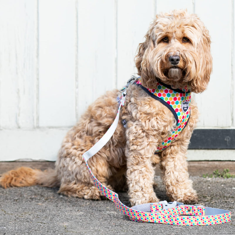 HUGO & HUDSON Nylon Dog Leash 4ft Pet Leash Soft Padded Handle, Multi-Color Geometric, 47" x 1" M/L - PawsPlanet Australia