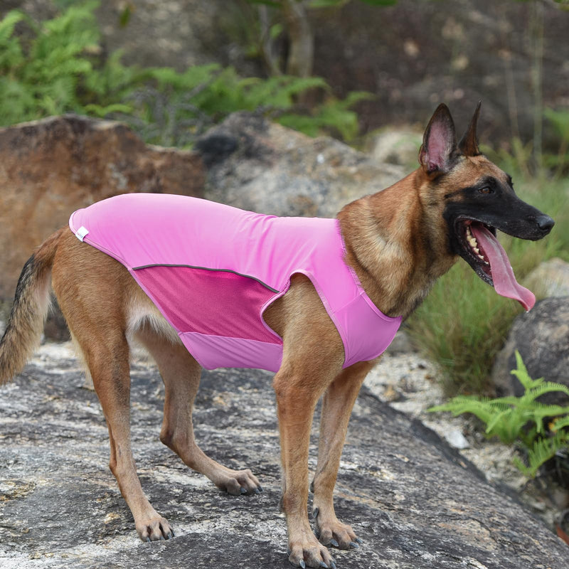 2 Pack UPF 50+ Sun Protection Sports Fan Pet T-Shirts, Quick-Dry Soft Clothes for Medium Large Dogs Girl, Tshirts with Reflective Strip Sleeveless Vest Pet Apparel P23ST00504XXXL 3XL(chest:21.5-26.7") 2Pack - Leopard - PawsPlanet Australia