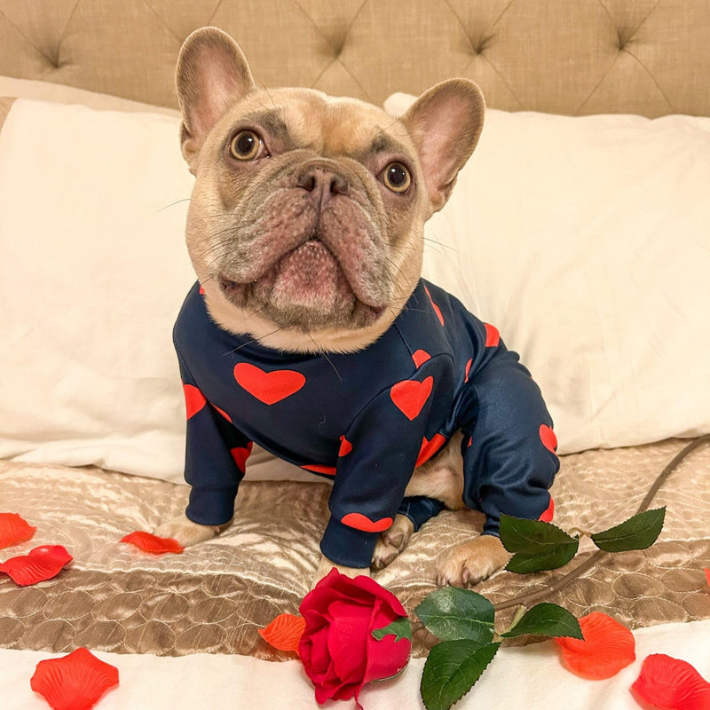 Spark Paws Dog Pajama, Dog Recovery Suit Male, Onesie, Ultra-Soft and 4-Way Stretch, for Small Medium and Large Breeds - Hearts - XL XL: 23-35lbs - PawsPlanet Australia