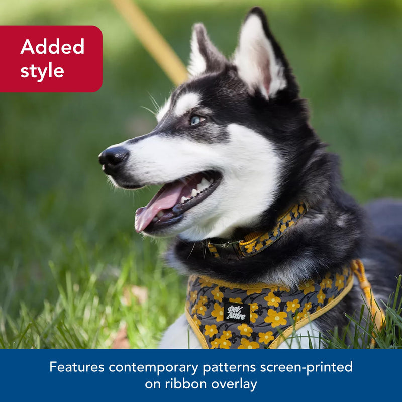 Coastal Pet - Ribbon - Adjustable Dog Collar with Metal Buckle, Yellow Buttercup, 5/8" x 12"-18" 5/8" x 12"-18" (Pack of 1) - PawsPlanet Australia