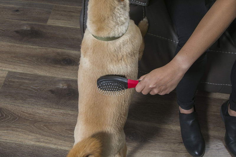 FURemover Grooming Brush & Comb Set, Suitable for All Coats, Includes One Flea Comb and One Dual-Sided Brush with Soft Bristles and Rounded Pins, Black and Red (1208A12-AMZ) - PawsPlanet Australia
