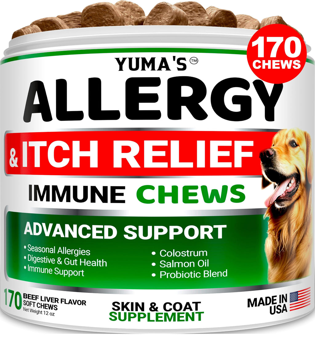 Dog Allergy Relief Chews - Dog Itching Skin Relief Treatment Pills - 170 Treats - Itchy and Paw Licking - Anti-Itch - Dry Skin & Hot Spots Omega 3 Fish Oil Skin & Coat Supplement - Beef Liver Flavor 170 Chews - Allergy Relief