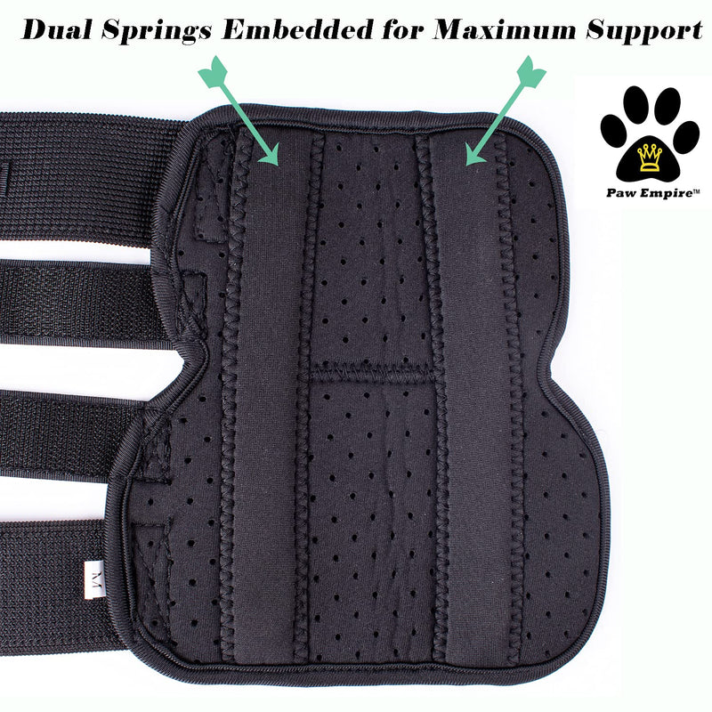 Pair of Dog Leg Braces, Ultra Supportive, Comfortable, Dual Metal Springs, Canine Hock Brace for Joint Arthritis, Assists Injury & Sprains (Pink Dog Bone, Large) Pink Dog Bone