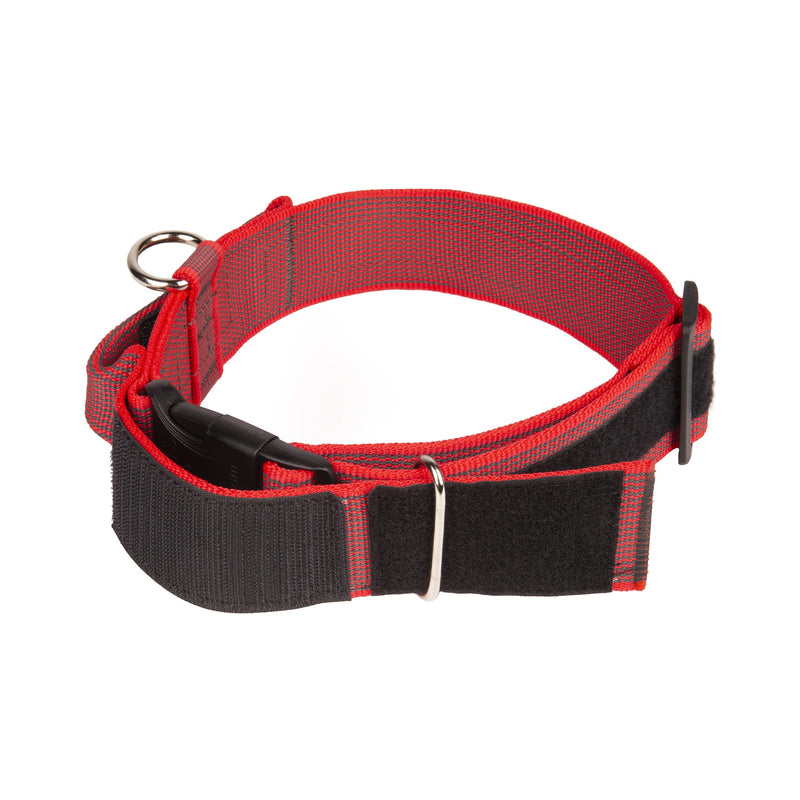 Julius-K9 Color and Gray Collar with Handle and Interchangeable Patch, 50 mm (49-70 cm), Red-Gray - PawsPlanet Australia