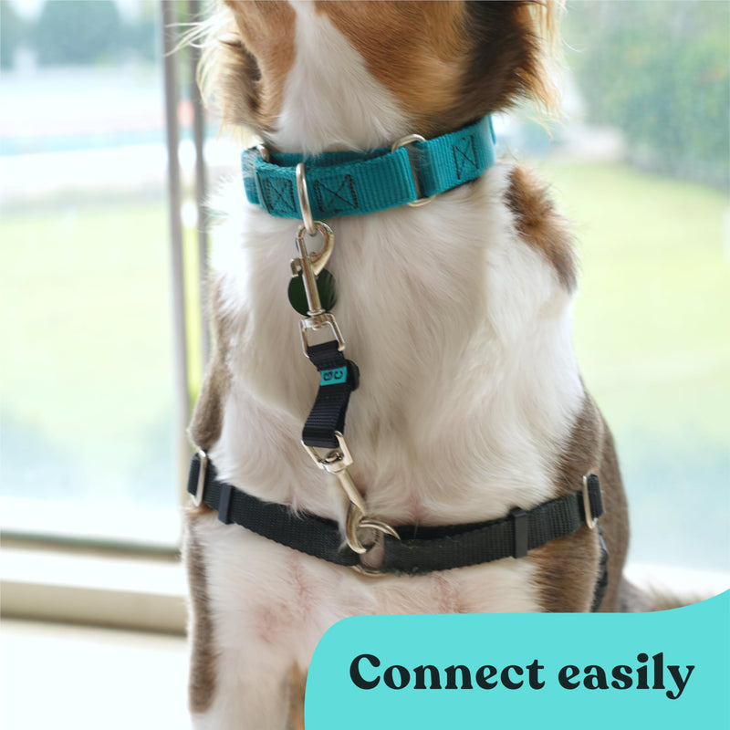 Gentle Creatures Collar Companion - Adjustable Backup Clip for Dog Harness, Prong, Pinch Collars, Gentle Lead - Double Ended Backup Clasp - Harness to Collar Safety Clip Nylon Adjustable - PawsPlanet Australia