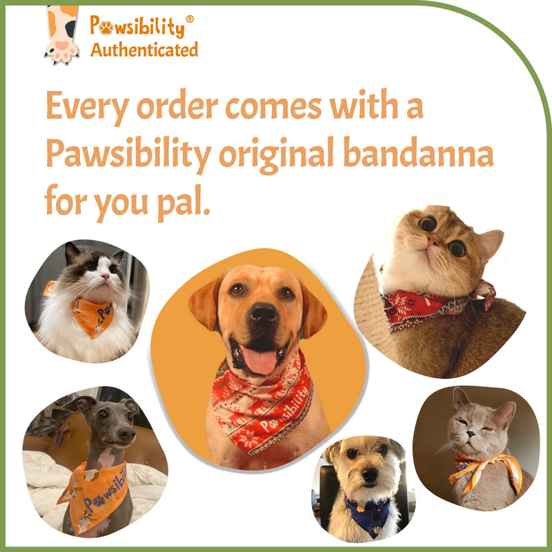 Reinvented Pet Nail Clippers for Your Pal - [USB Rechargeable] - LED Light for Bloodline | Razor Sharp and Durable Blade | Vets Recommended Trimming Tool for Dogs and Cats - Green - PawsPlanet Australia