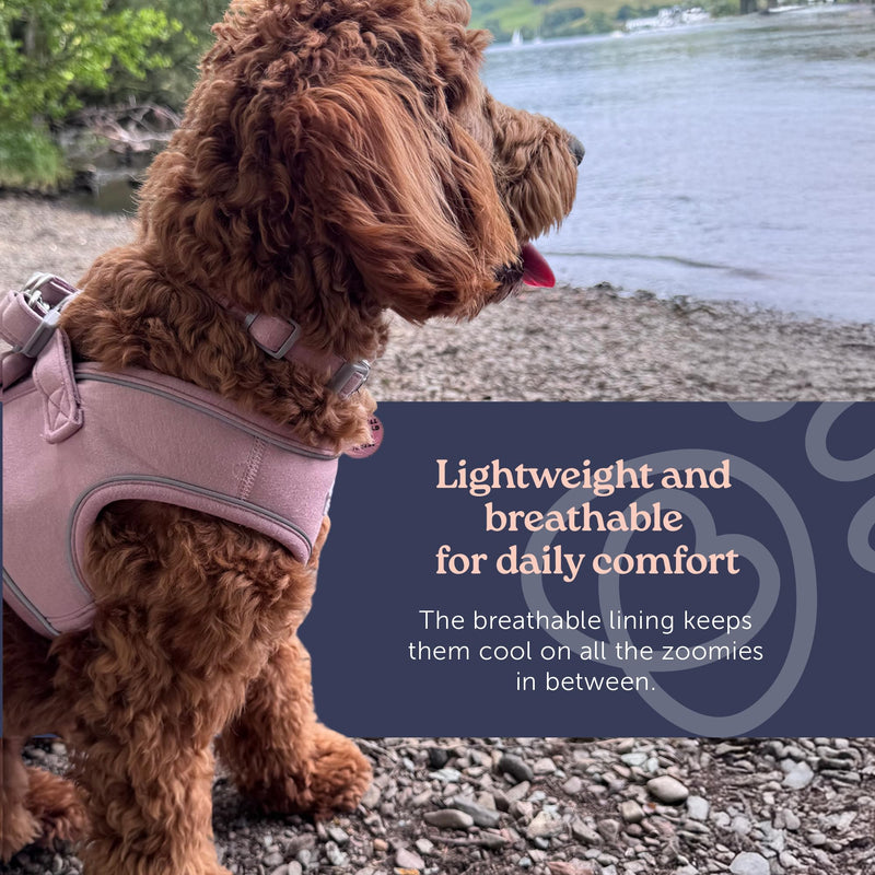 Doodlebone - Dinky Dog Snappy Harness - Step In Vest Style Harness for Small Dogs and Puppies, Lightweight Breathable Fit with Reflective Trim, Secure Fastening - Size 1-2 - Blue Cord - PawsPlanet Australia