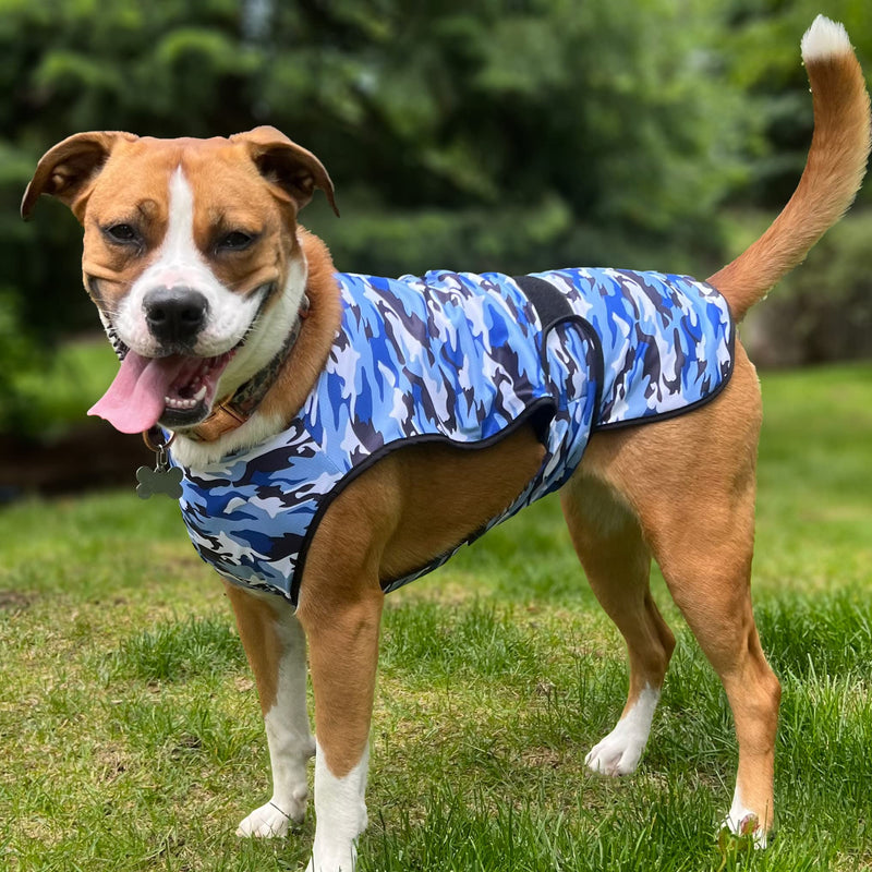 Dog Cooling Vest - 2-Layer Lightweight Performance - UPF50+ Full Coverage & Adjustable Fit for Small to Large Dogs (Blue, Large) Blue Camo Large (Pack of 1)