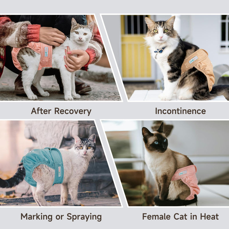 Langsprit Reusable Cat Diapers for Female and Male Cats,Washable Cat Kitten Incontinence Diapers for Male Cat Spraying,Pet Kitty Diapers for Cats Large Medium Small Size Morandi - PawsPlanet Australia