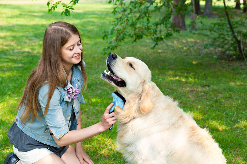 Dog Slicker Brush, Self Cleaning, Shedding and Grooming Tool for Pets, Best Dog Brush with Easily Retractable Bristles to Remove Hair Instantly - PawsPlanet Australia