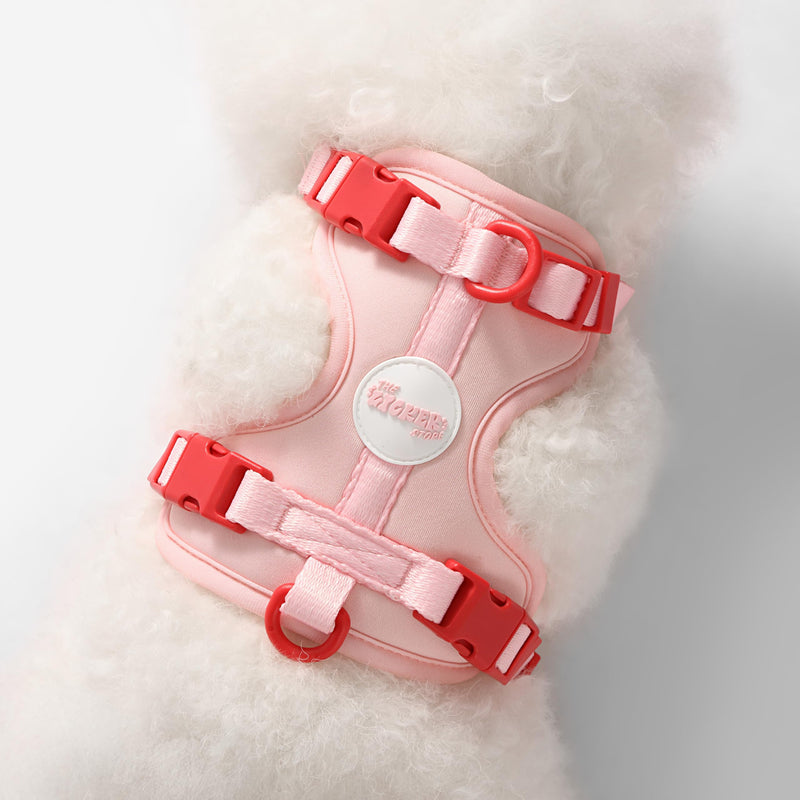 HNS1001G Arlo Small Adjustable Soft Padded No Pull Pet Harness with 3 Buckles and 3 Leash Clips, Paloma Pink Small (Chest: 14 - 22") - PawsPlanet Australia