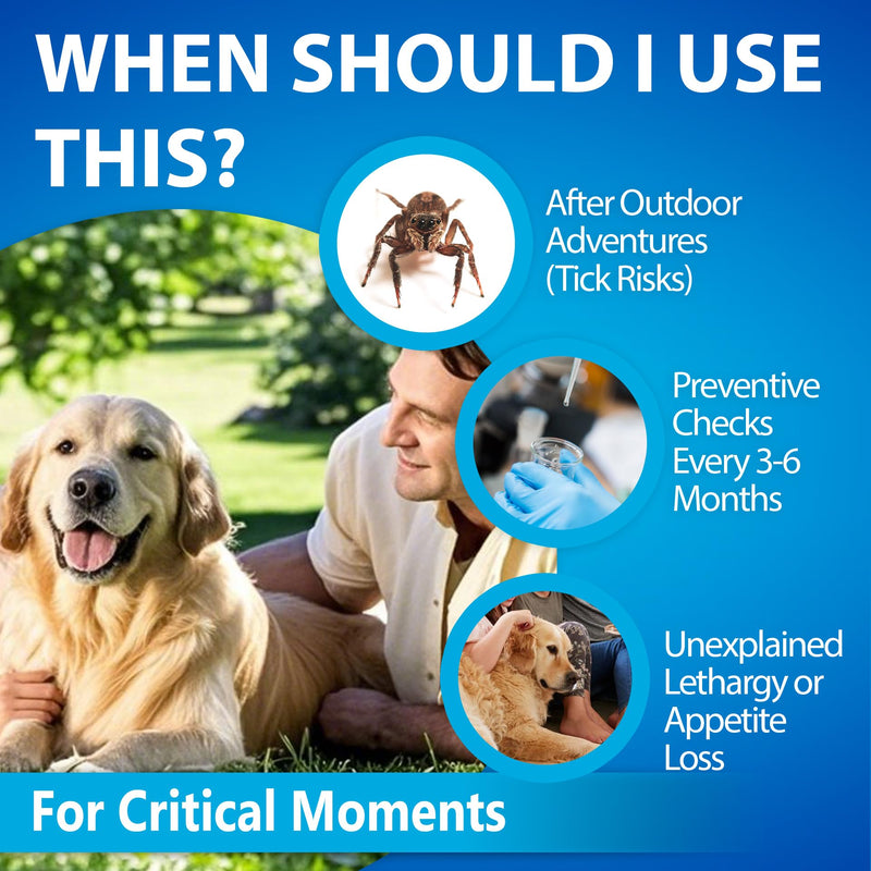 4-in-1 Dog Health Management Card 4-in-1 Canine Health Signal Analyze Common Canine Illnesses Quick and Easy at-Home Testing - PawsPlanet Australia