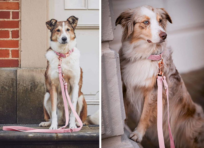 Soft Leather Dog Collar and Leash (6.6') Set - Stylish Rose Gold Heavy Duty Metal Buckle, 4 Adjustable Lengths Leash for Small Medium Large Dogs - Comfortable & Easy to Clean Pink M(13.8"-19.7") M(13.8"-19.7")
