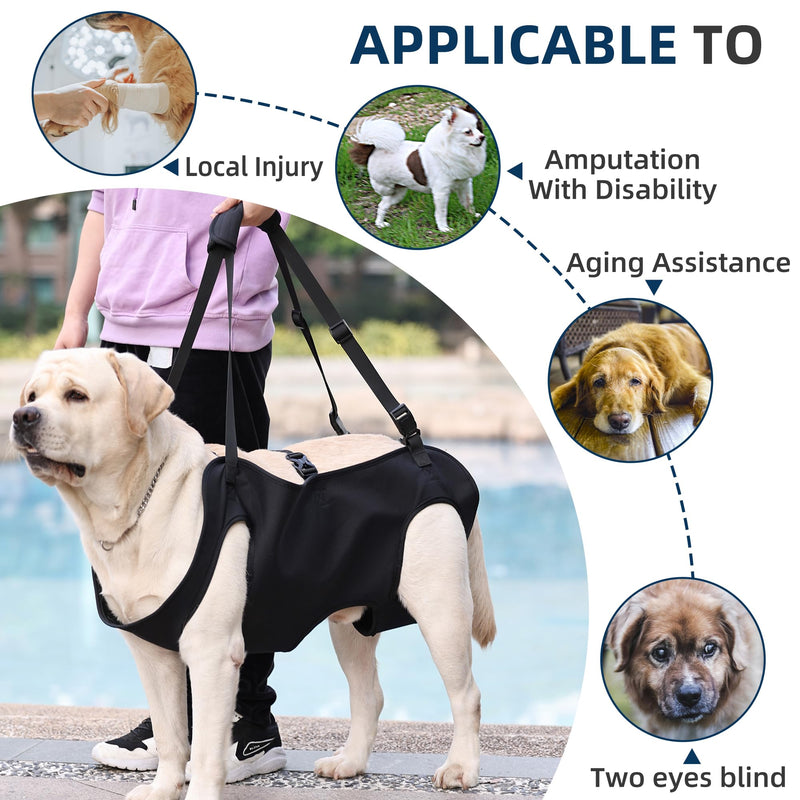 Dog Lift Harness, Emergency Backpack Pet Legs Support & Rehabilitation Sling Carrier, Adjustable Lifting Straps Carrier for Senior Elderly Dogs Joint Injuries Arthritis M - PawsPlanet Australia