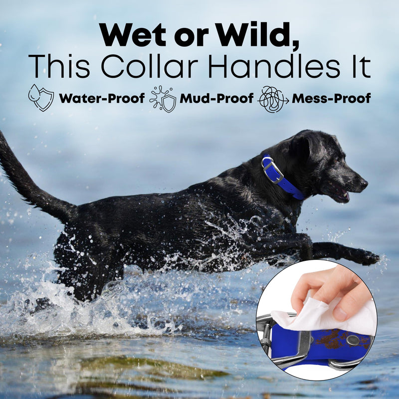 Regal Dog Products Large Blue Waterproof Dog Collar and Leash Set | Heavy Duty Double Buckle & D Ring - 5'ft Leash | Adjustable Biothane Dog Collar | Chew Resistant Waterproof Collar for Dogs Large Collar & Leash