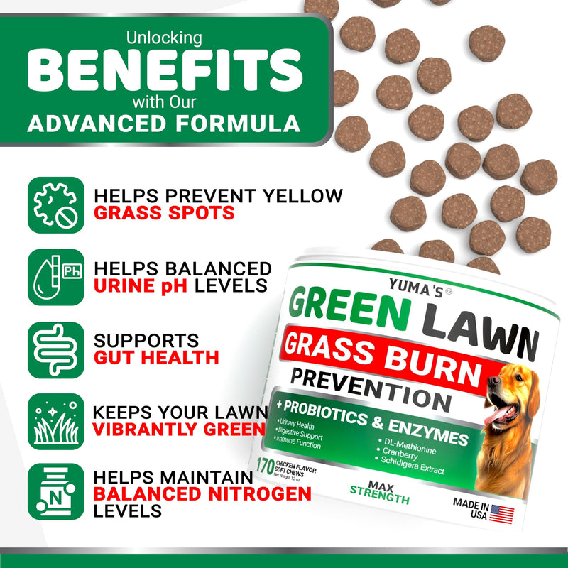 Dog Urine Neutralizer for Lawn - 170 Chews - Advanced Green Grass Savers for Dog Urine - Dog Pee Grass Neutralizer Supplement - Green Lawn Treats for Dogs with Probiotics and Digestive Enzymes Chicken Green Lawn - 120 Chews