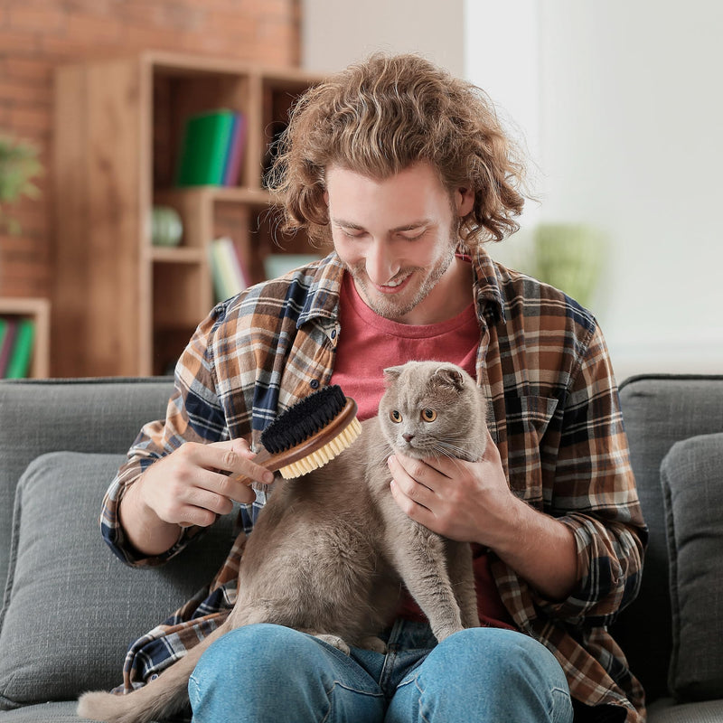 Takavu Double-Sided Boar Bristle Cat Brush - Natural Grooming Tool for Gentle Cleaning, Shine & Reduced Loose Hair - Wood Handle Pet Brush Double Side Brush - PawsPlanet Australia