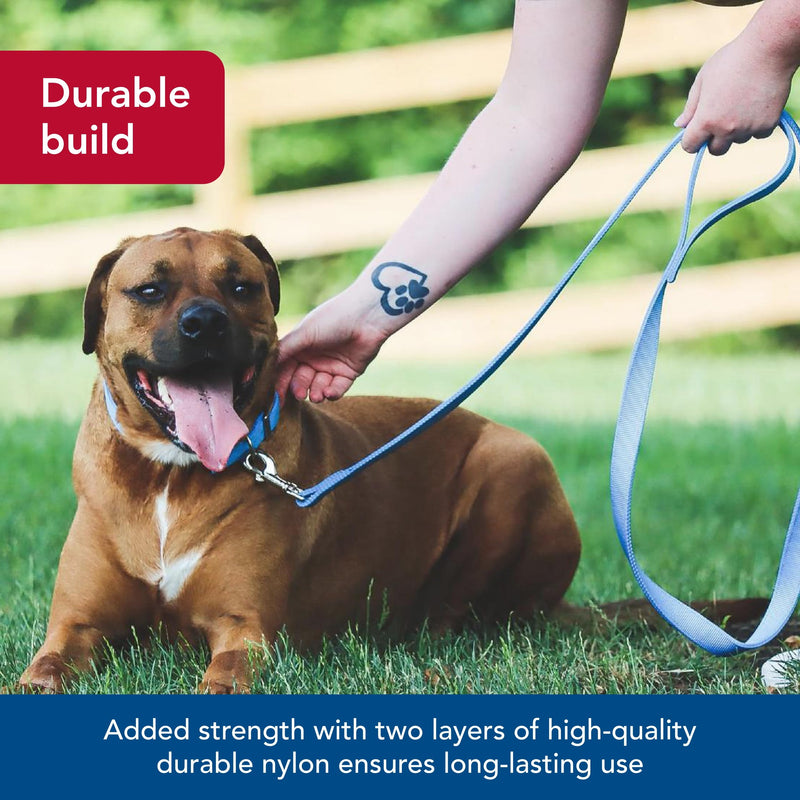 Coastal Pet Double-Ply Dog Leash - Bolt Snap Attachment to Collars and Harnesses - Nylon Dog Walking Leash for Small, Medium and Large Dogs - Teal - 1" x 6' 1" x 6' (Pack of 1) - PawsPlanet Australia