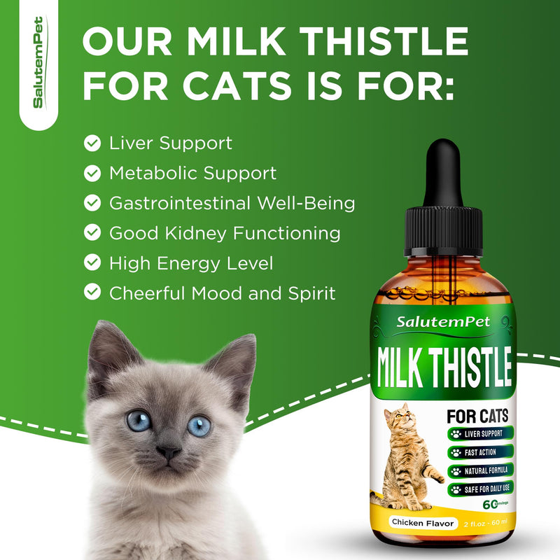 Milk Thistle for Cats | Cat UTI | Liver Support for Cats | Cat Milk Thistle | Feline UTI | Cat Cough | Milk Thistle Cats | Cat Urinary Tract | 2 Oz - PawsPlanet Australia