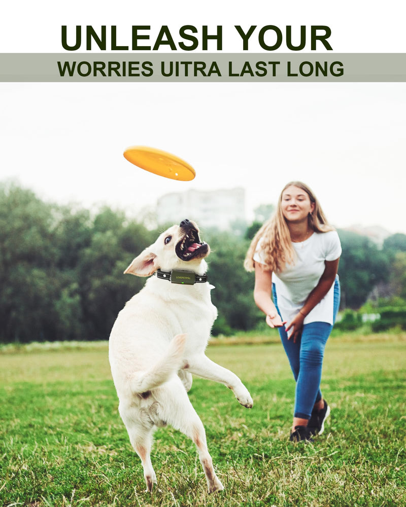 Dog Training Collar with Remote Control, 3500FT Dog Shock Collar for Small Medium Large Dogs, IPX7 Waterproof, 4 Training Modes, Rechargeable E-Collar with Beep Vibration Safe Shock for All Breeds - PawsPlanet Australia